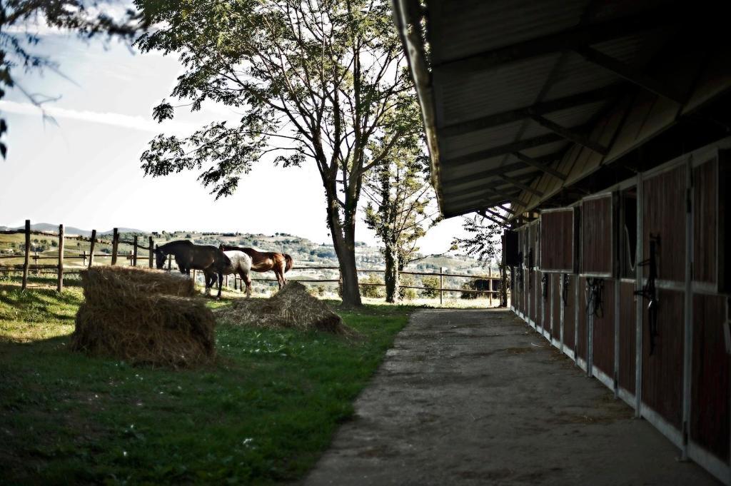Tenuta Di Corbara Corbara  エクステリア 写真