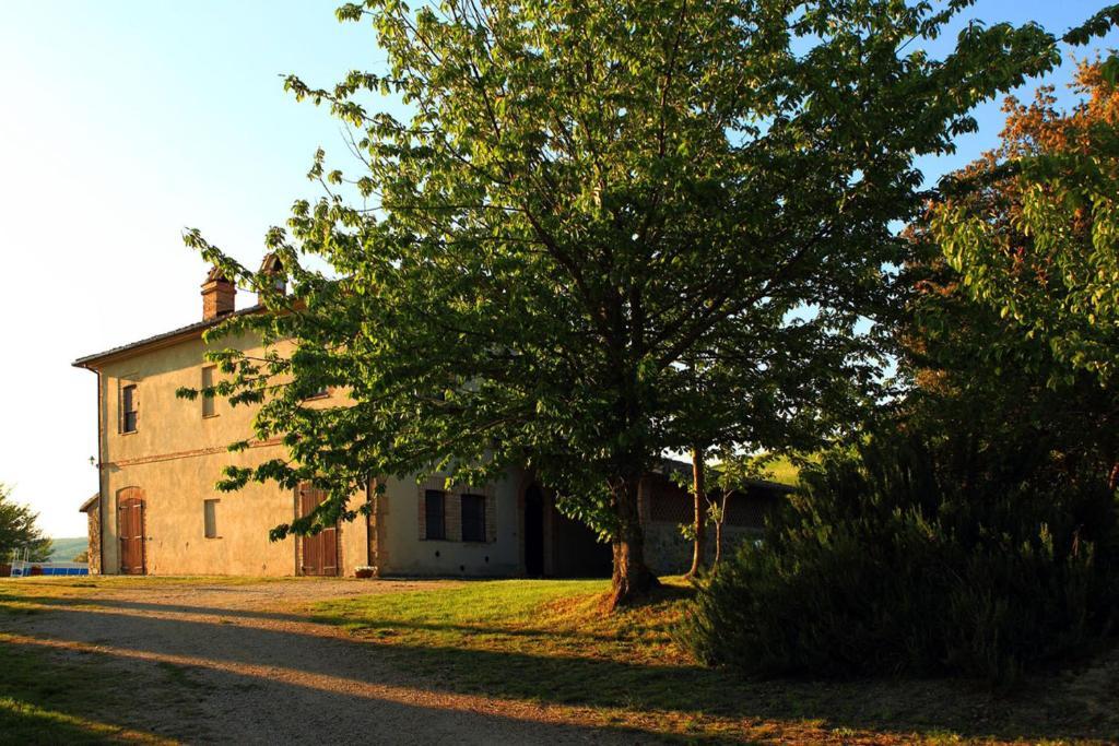 Tenuta Di Corbara Corbara  部屋 写真